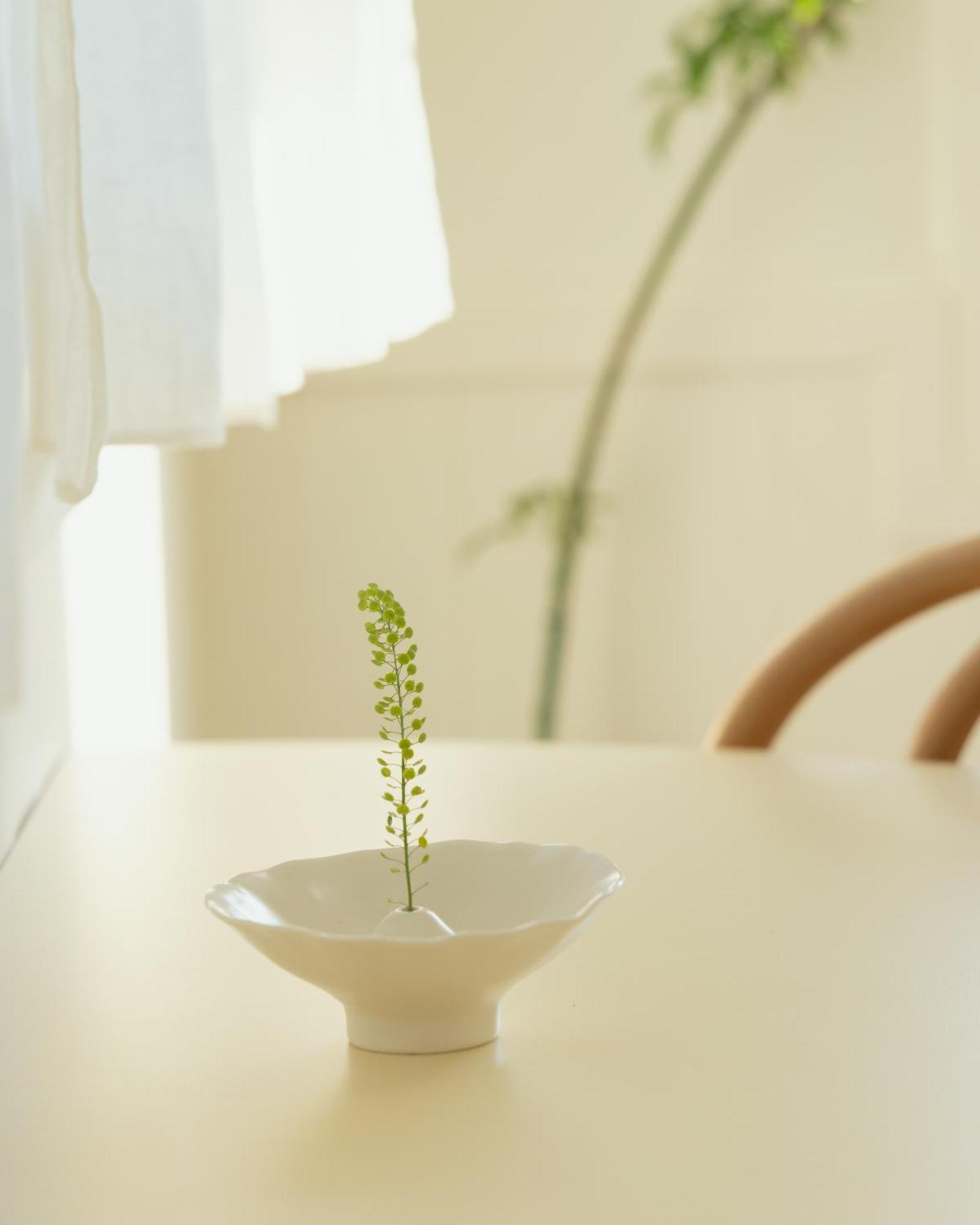 Soomhouse Renewal Open June 2024 Holiday home